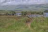 Lomond to Ness